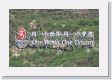 0517bGreatWallBadaling - 14 * Your Advertisement Here (after Summer 2008). * Your Advertisement Here (after Summer 2008).